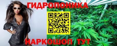 spice Кимры